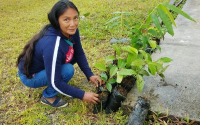 Finalizado proyecto en la Reserva de la Biosfera Sumaco