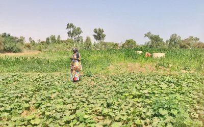 Resiliencia ante la crisis alimentaria en Fanaye