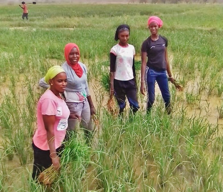 Empoderamiento de las mujeres y producción sostenible para acabar con la desnutrición