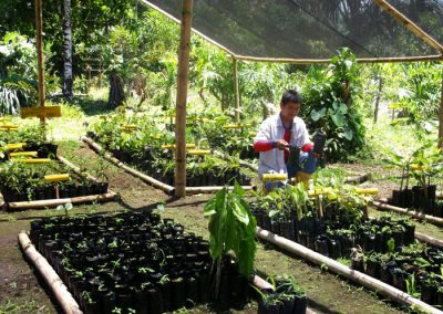 Fortalecimiento de la soberanía alimentaria en fincas integrales de cacao y reforestación de bambú en territorio Waorani