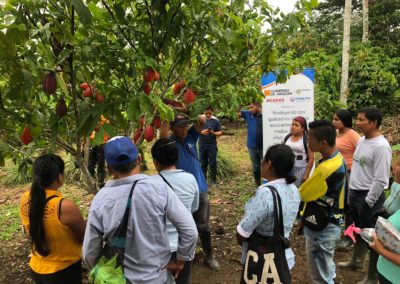 Derechos socio-ambientales frente al extractivismo en comunidades Kichwa de Napo-Pastaza