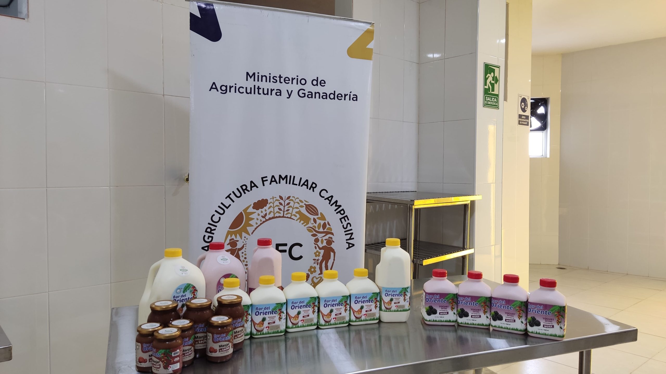 Fortalecimiento del emprendimiento solidario “Flor del Oriente” de la Fundación Casa de los Niños de Cascales. Fase II.