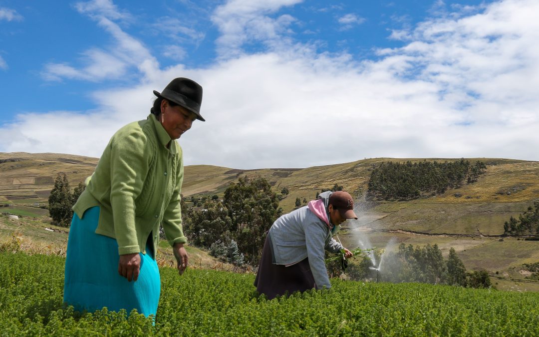 Mujeres indígenas Kayambi ejerciendo la defensa del derecho al agua y a medios de vida sostenibles en zonas alto-andinas