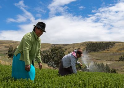 Mujeres indígenas Kayambi ejerciendo la defensa del derecho al agua y a medios de vida sostenibles en zonas alto-andinas