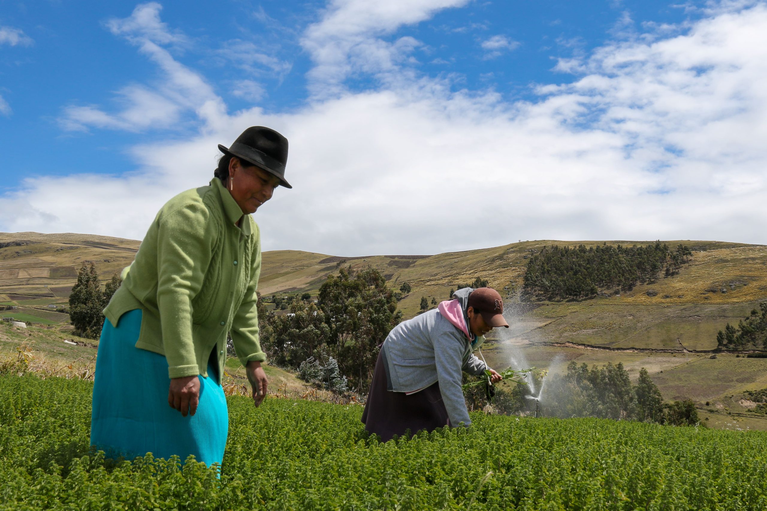 Mujeres indígenas Kayambi ejerciendo la defensa del derecho al agua y a medios de vida sostenibles en zonas alto-andinas